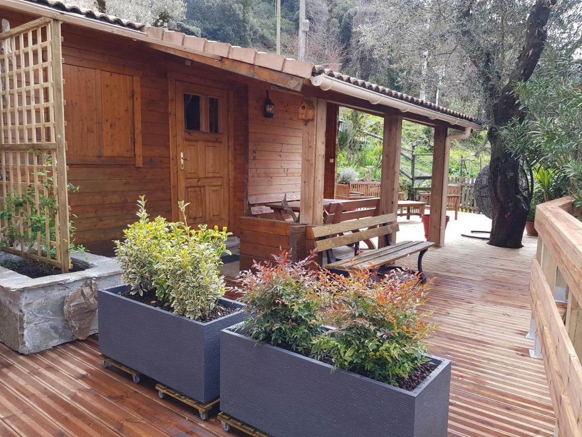 Le Chalet De Valentine & Laurent Olmiccia Exterior photo