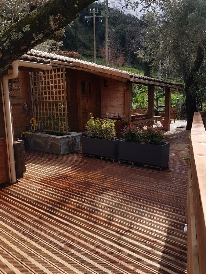 Le Chalet De Valentine & Laurent Olmiccia Exterior photo