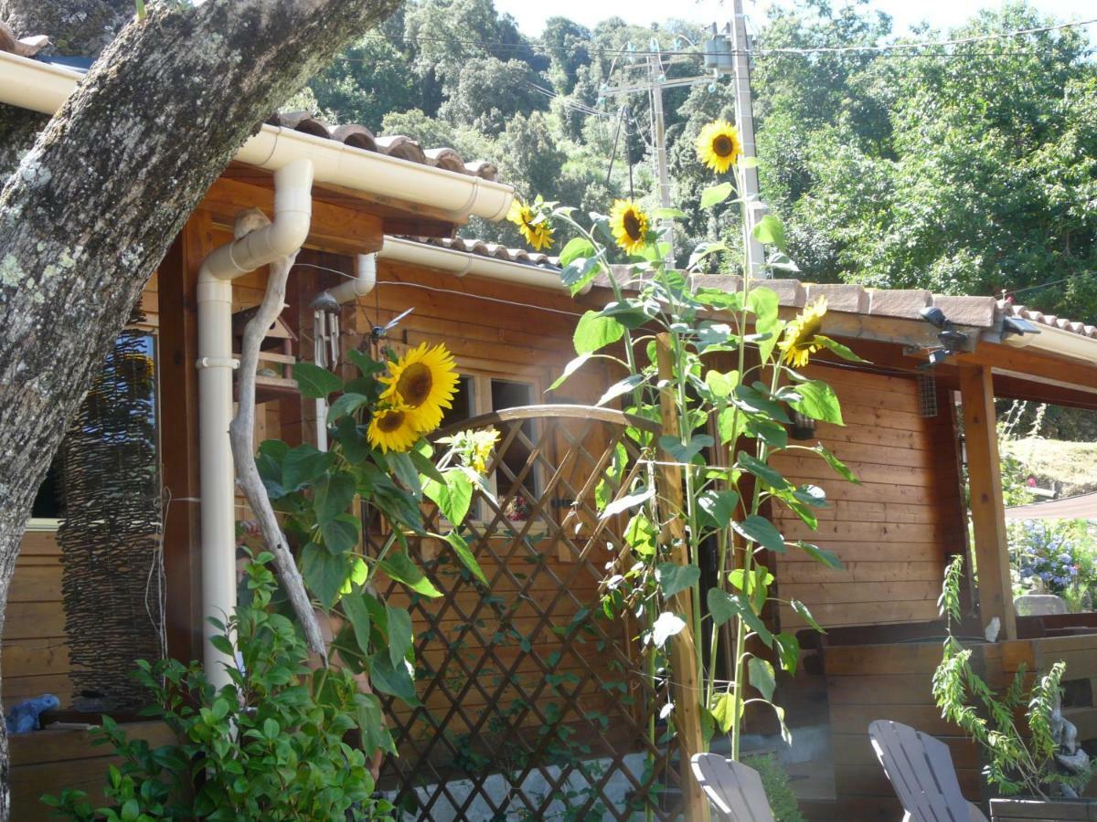 Le Chalet De Valentine & Laurent Olmiccia Exterior photo